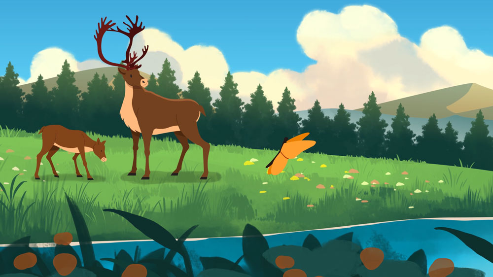 Woodland-Caribou